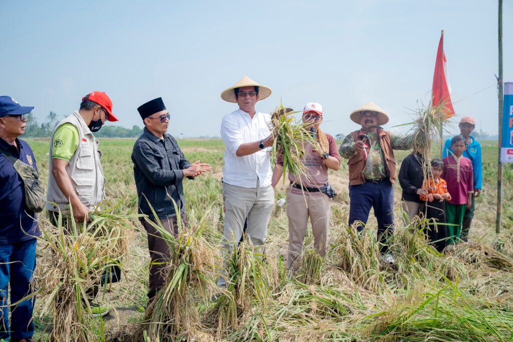 Restorasi Gambut, EBT (Energi Baru Terbarukan),